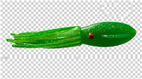 5.5 Fat Squid