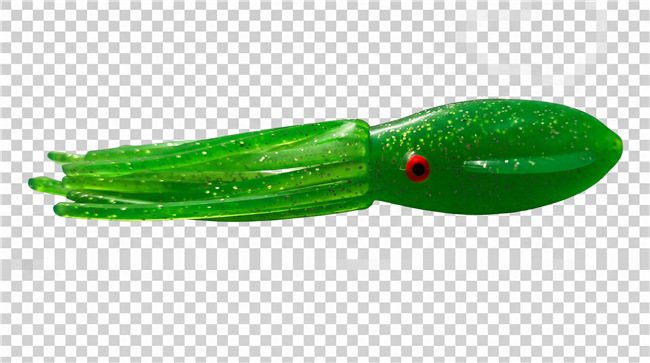5.5 Fat Squid